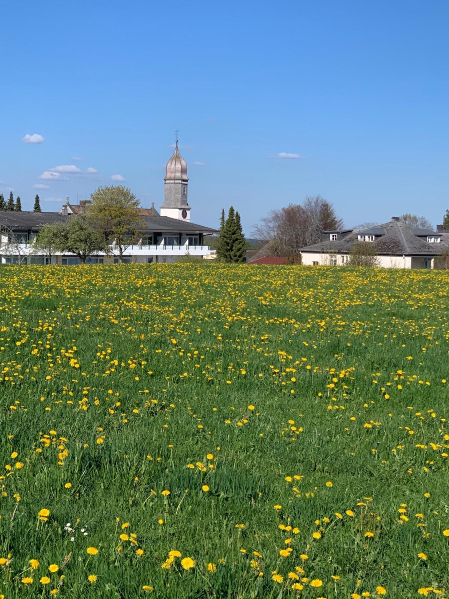 Pension Linde Höchenschwand Exteriör bild